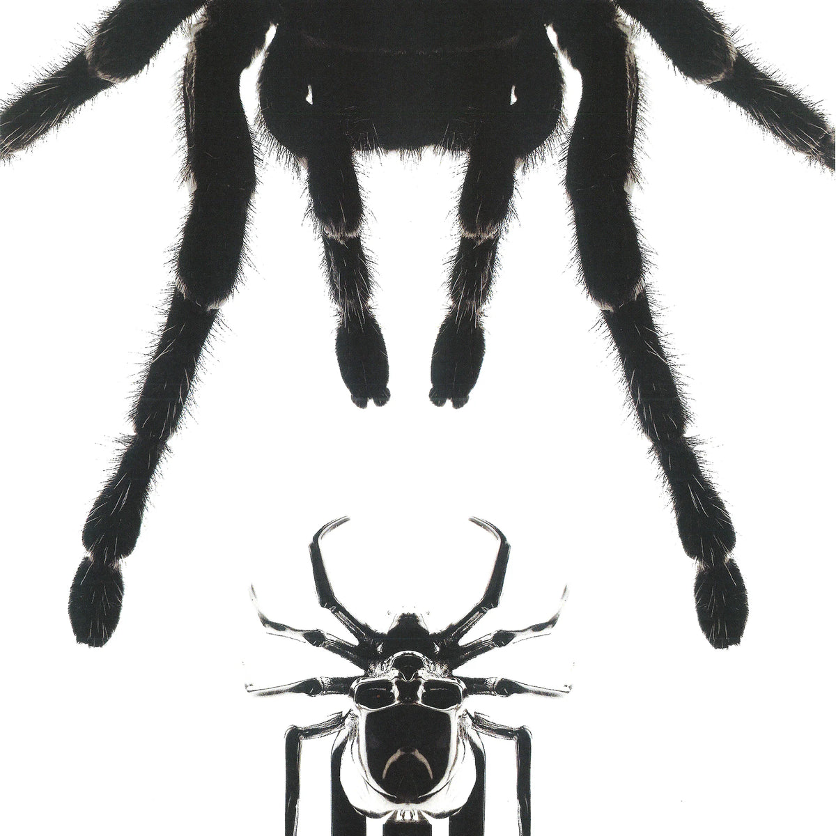 SPIDER HAIR CLIP - Hard Jewelry™