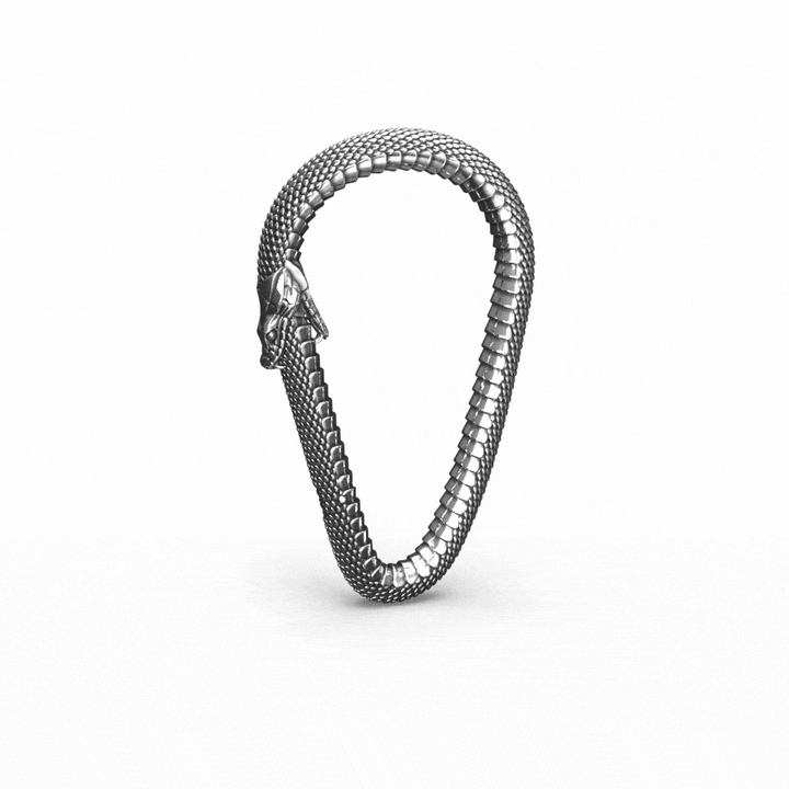 OUROBOROS CARABINER