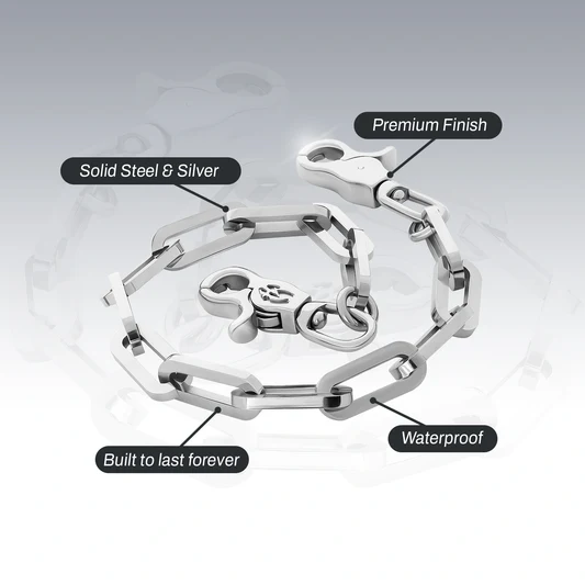 LINK WALLET CHAIN